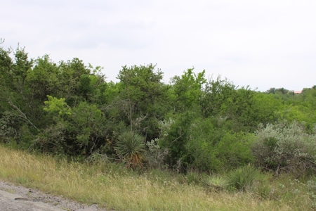 .94 Acre in Carmel Hills on Lake Corpus Christi, TX - image 1