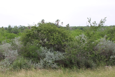 .94 Acre in Carmel Hills on Lake Corpus Christi, TX - image 3