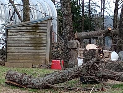 Beautiful Mountain Top Farm in Madison County Arkansas - image 12