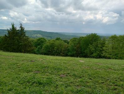 Beautiful Mountain Top Farm in Madison County Arkansas - image 5