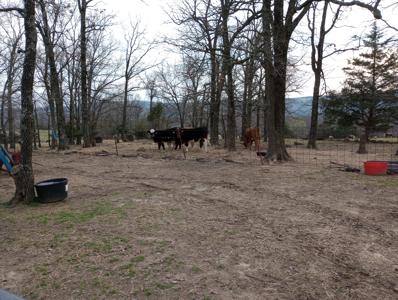 Beautiful Mountain Top Farm in Madison County Arkansas - image 9