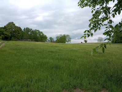 Beautiful Mountain Top Farm in Madison County Arkansas - image 6