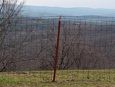 Beautiful Mountain Top Farm in Madison County Arkansas - image 11