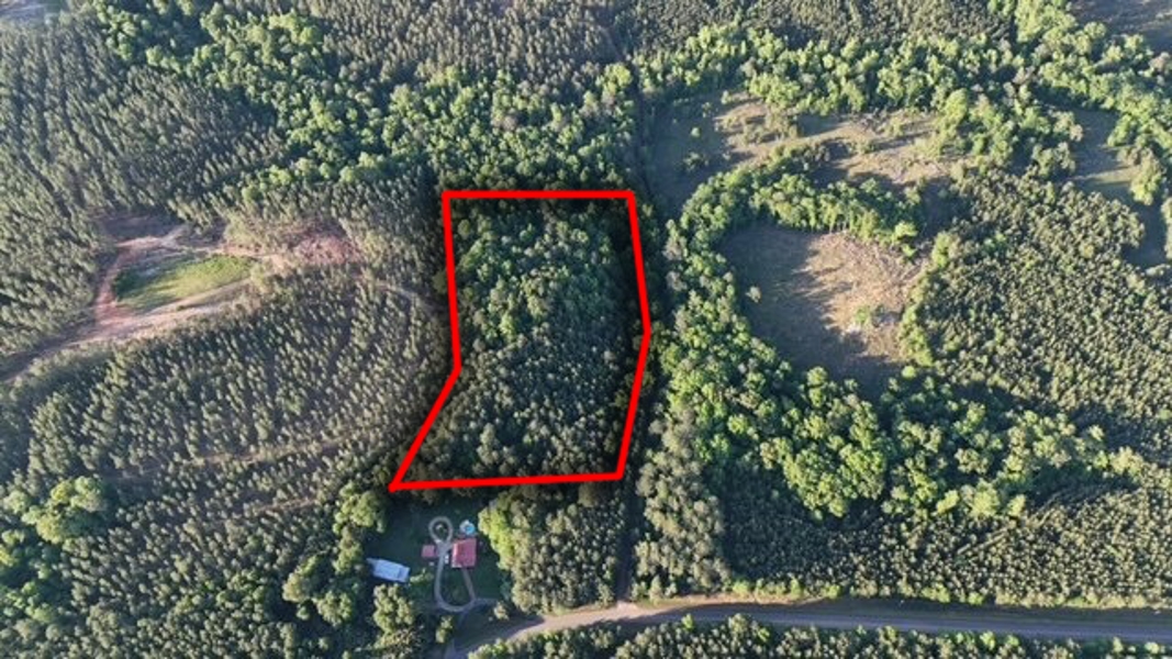 The Cane Ridge Tract