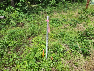 Acreage on Kiamichi River -  National Forest Area - image 10