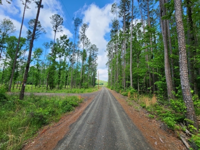 Acreage on Kiamichi River -  National Forest Area - image 13