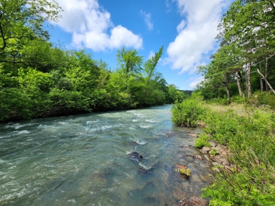 Acreage on Kiamichi River -  National Forest Area - image 2