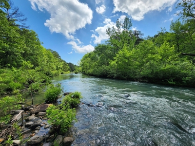 Acreage on Kiamichi River -  National Forest Area - image 1
