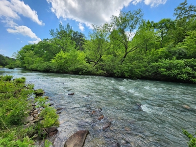 Acreage on Kiamichi River -  National Forest Area - image 5