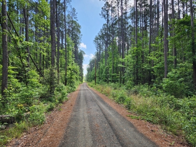 Acreage on Kiamichi River -  National Forest Area - image 8