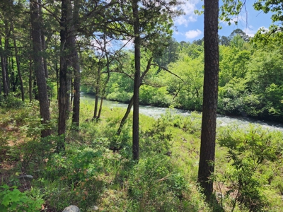 Acreage on Kiamichi River -  National Forest Area - image 4