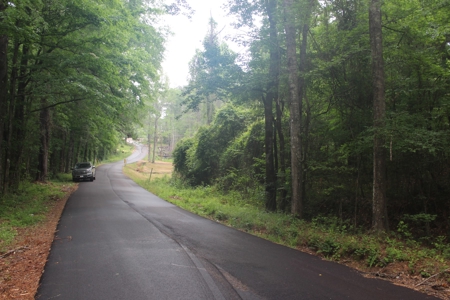 Land For Sale Lincoln County Bogue Chitto Mississippi - image 1