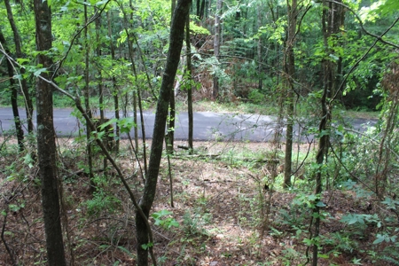 Land For Sale Lincoln County Bogue Chitto Mississippi - image 4