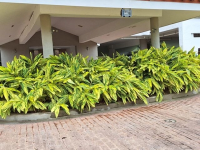 Apartment with Ocean View in Punta Barco Village - image 4