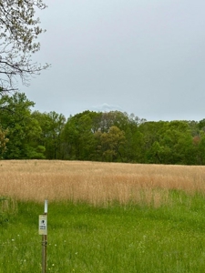 41 Unrestricted and Surveyed Acres in Surgoinsville, TN - image 7