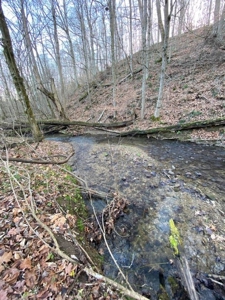 41 Unrestricted and Surveyed Acres in Surgoinsville, TN - image 26