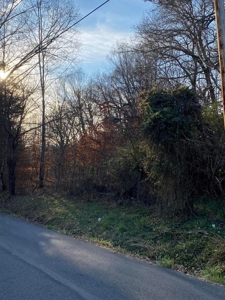41 Unrestricted and Surveyed Acres in Surgoinsville, TN - image 10