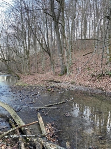 41 Unrestricted and Surveyed Acres in Surgoinsville, TN - image 22