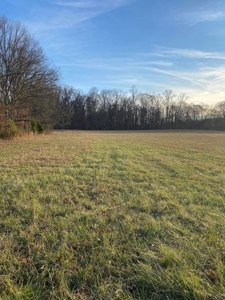 41 Unrestricted and Surveyed Acres in Surgoinsville, TN - image 15