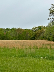 41 Unrestricted and Surveyed Acres in Surgoinsville, TN - image 6