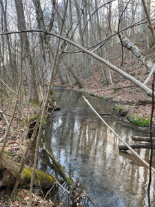 41 Unrestricted and Surveyed Acres in Surgoinsville, TN - image 27