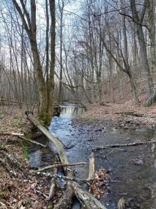 41 Unrestricted and Surveyed Acres in Surgoinsville, TN - image 20