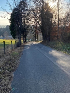 41 Unrestricted and Surveyed Acres in Surgoinsville, TN - image 9