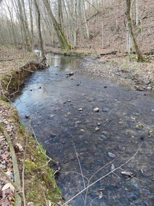 41 Unrestricted and Surveyed Acres in Surgoinsville, TN - image 23