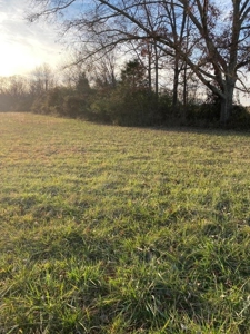 41 Unrestricted and Surveyed Acres in Surgoinsville, TN - image 16