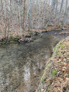 41 Unrestricted and Surveyed Acres in Surgoinsville, TN - image 43