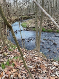 41 Unrestricted and Surveyed Acres in Surgoinsville, TN - image 29