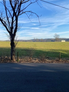 41 Unrestricted and Surveyed Acres in Surgoinsville, TN - image 42
