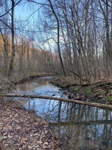 41 Unrestricted and Surveyed Acres in Surgoinsville, TN - image 28