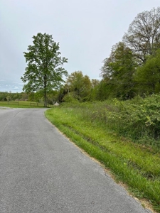41 Unrestricted and Surveyed Acres in Surgoinsville, TN - image 2