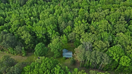 Small Hunting Retreat for Sale near TN River - image 12