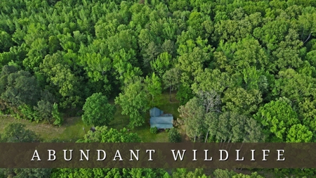 Small Hunting Retreat for Sale near TN River - image 25