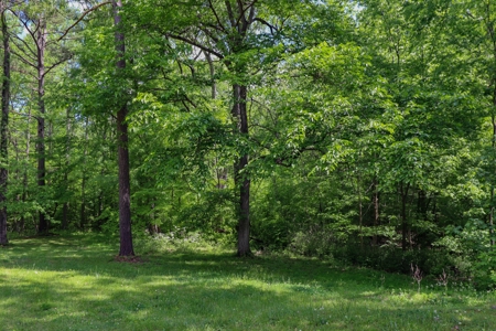 Small Hunting Retreat for Sale near TN River - image 8