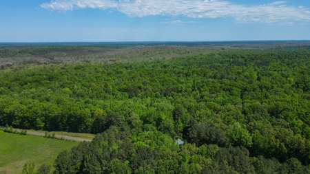 Small Hunting Retreat for Sale near TN River - image 14