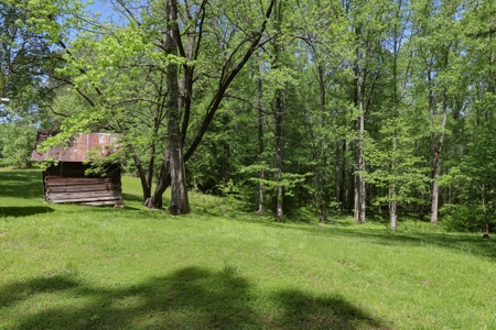 Small Hunting Retreat for Sale near TN River - image 7