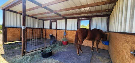 Mertzon, Texas Horse and Hunting Property near San Angelo - image 33