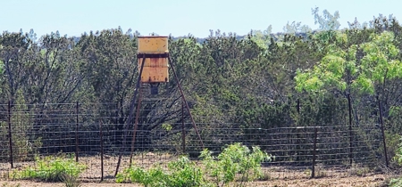 Mertzon, Texas Horse and Hunting Property near San Angelo - image 38