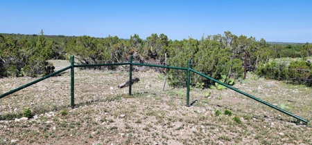 Mertzon, Texas Horse and Hunting Property near San Angelo - image 37