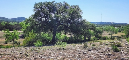 Mertzon, Texas Horse and Hunting Property near San Angelo - image 41