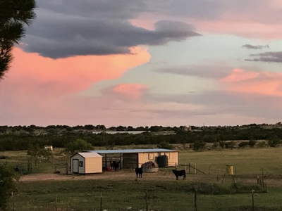 Mertzon, Texas Horse and Hunting Property near San Angelo - image 22