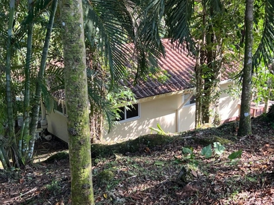 Luxury Island Home with Rental Casita, Pool and Sea Views - image 25
