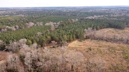 D'Arbonne 166 - image 15