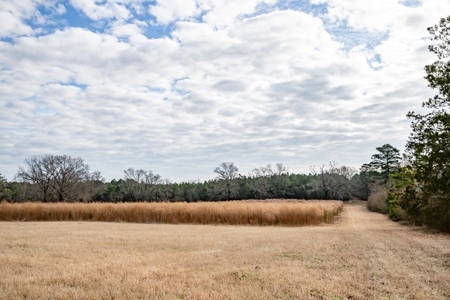 D'Arbonne 166 - image 7