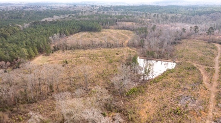 D'Arbonne 166 - image 17