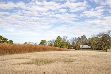 D'Arbonne 166 - image 5