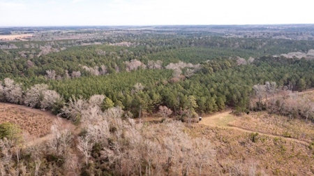 D'Arbonne 166 - image 16
